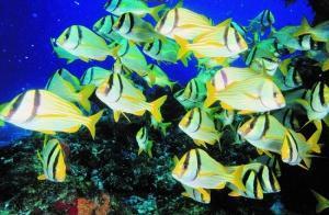 phoca_thumb_m_image035 Zdjęcia