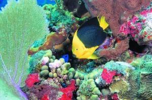 phoca_thumb_m_image036 Zdjęcia
