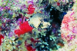 phoca_thumb_m_image038 Zdjęcia