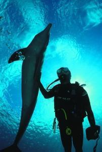 phoca_thumb_m_image039 Zdjęcia