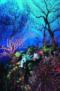 phoca_thumb_m_image040 Zdjęcia