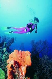 phoca_thumb_m_image042 Zdjęcia