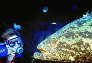phoca_thumb_m_image043 Zdjęcia