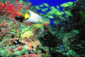 phoca_thumb_m_image046 Zdjęcia