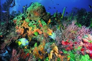 phoca_thumb_m_image047 Zdjęcia