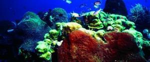 phoca_thumb_m_image049 Zdjęcia
