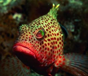 phoca_thumb_m_image051 Zdjęcia