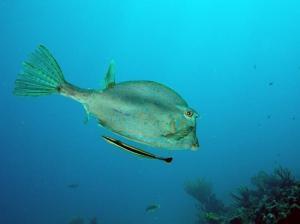 phoca_thumb_m_image055 Zdjęcia