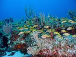 phoca_thumb_m_image057 Zdjęcia