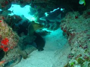 phoca_thumb_m_image059 Zdjęcia