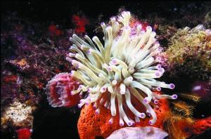 phoca_thumb_m_image063 Zdjęcia