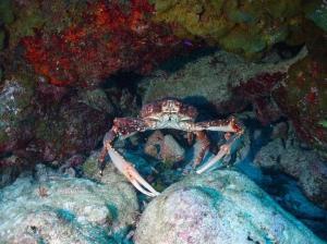 phoca_thumb_m_image064 Zdjęcia