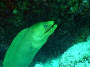 phoca_thumb_m_image065 Zdjęcia
