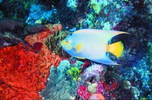 phoca_thumb_m_image068 Zdjęcia