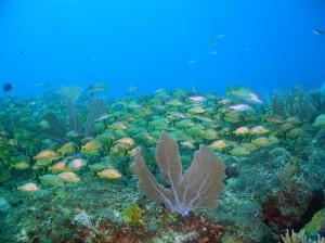 phoca_thumb_m_image070 Zdjęcia