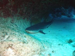 phoca_thumb_m_image072 Zdjęcia