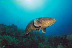 phoca_thumb_m_image023 Zdjęcia
