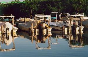 phoca_thumb_m_image026 Zdjęcia
