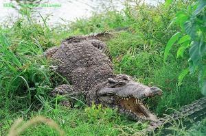 phoca_thumb_m_image031 Zdjęcia