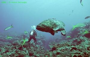 phoca_thumb_m_image032 Zdjęcia