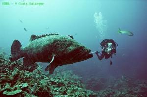 phoca_thumb_m_image033 Zdjęcia