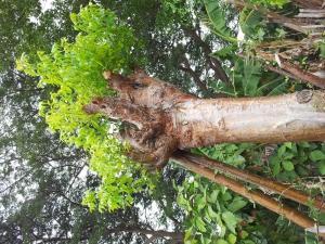 phoca_thumb_m_20150112_135341 Zdjęcia