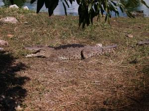 phoca_thumb_m_P1103315 Zdjęcia