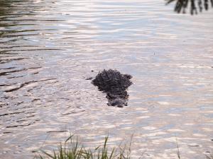 phoca_thumb_m_P1103362 Zdjęcia