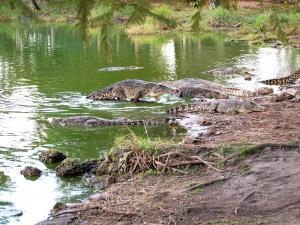 phoca_thumb_m_P1103367 Zdjęcia
