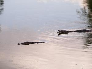 phoca_thumb_m_P1103372 Zdjęcia