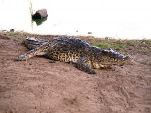 phoca_thumb_m_P1103375 Zdjęcia