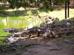 phoca_thumb_m_P1103400 Zdjęcia
