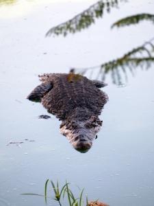 phoca_thumb_m_P1103401 Zdjęcia