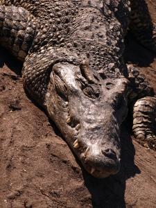 phoca_thumb_m_P1103443 Zdjęcia