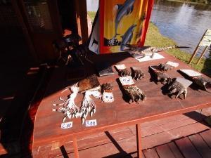 phoca_thumb_m_P1103520 Zdjęcia