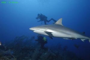 phoca_thumb_m_image002 Zdjęcia