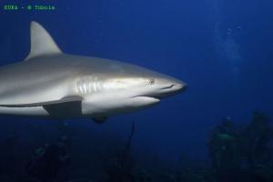 phoca_thumb_m_image003 Zdjęcia