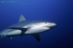 phoca_thumb_m_image004 Zdjęcia