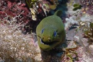 phoca_thumb_m_image006 Zdjęcia