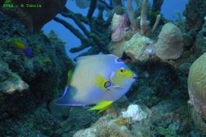 phoca_thumb_m_image007 Zdjęcia