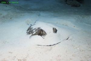 phoca_thumb_m_image008 Zdjęcia