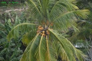 phoca_thumb_m_image014 Zdjęcia