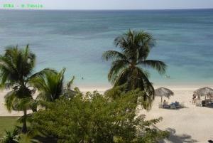 phoca_thumb_m_image020 Zdjęcia