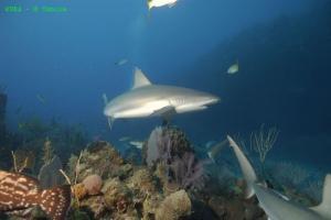 phoca_thumb_m_image022 Zdjęcia