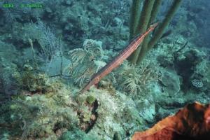 phoca_thumb_m_image030 Zdjęcia