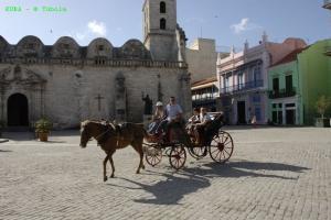 phoca_thumb_m_image032 Zdjęcia