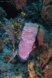 phoca_thumb_m_image040 Zdjęcia