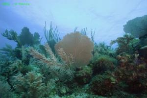 phoca_thumb_m_image041 Zdjęcia