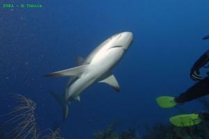 phoca_thumb_m_image042 Zdjęcia