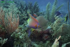 phoca_thumb_m_image044 Zdjęcia